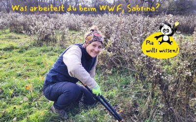 Team Panda fragt nach: Was ist deine Arbeit, Sabrina?