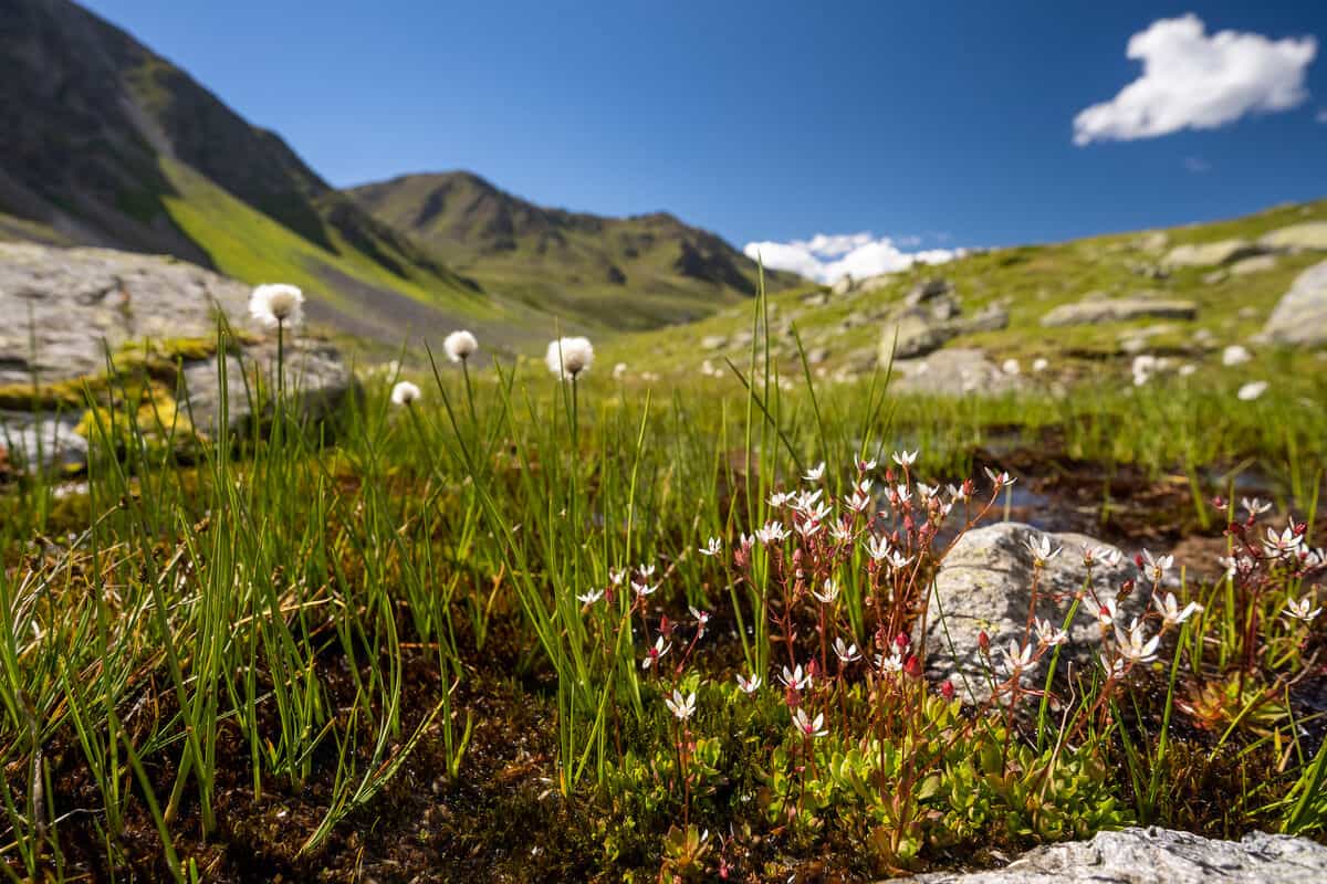 Impressionen aus dem Platzertal. (c) Sebastian Frölich