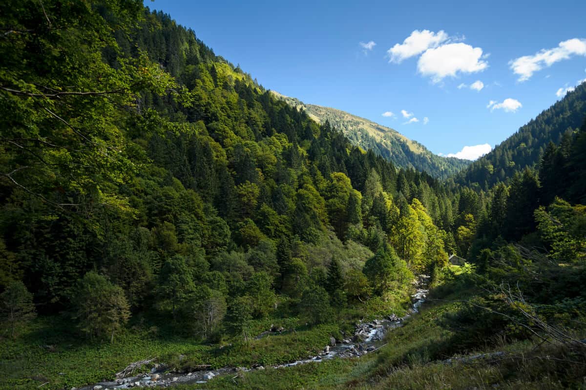 Wilderness Austria – Karnische Alpen (c) Matthias Schickhofer