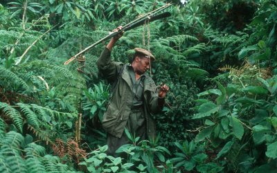 Fotostrecke: Wie der WWF gegen Wilderei kämpft