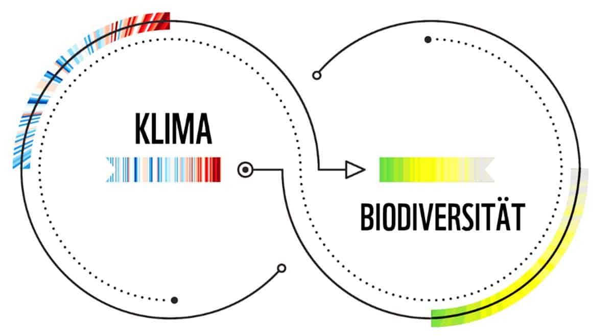 Koppelungen Klima und Biodiversität (c) WWF Koppelungen Klima und Biodiversität (c) WWF