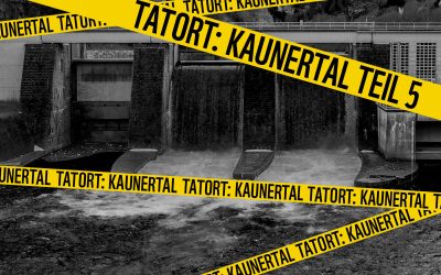 Tatort Kaunertal #5 – TIWAG als Heuschrecke in der Landschaft