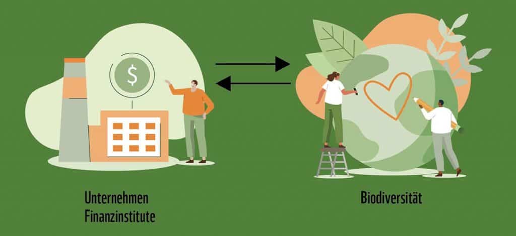 Unternehmen Finanzinstitute Biodiversität (c) Adobestock Irina Strelnikova Unternehmen Finanzinstitute Biodiversität (c) Adobestock Irina Strelnikova
