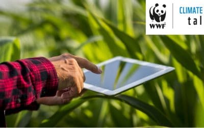 WWF CLIMATE GROUP TALKS: Wirksame Nachhaltigkeitsstrategien
