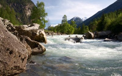 WWF fordert Notbremse: Tiwag-Konzern hält vor Gericht an Ötztal-Wasserableitungen fest