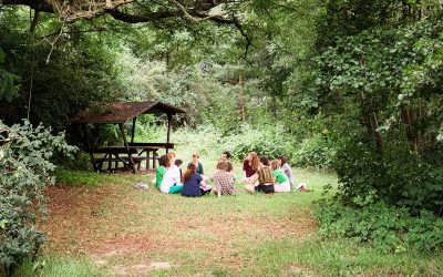 GrOw! – Summer Training on diets, food systems and changemaking