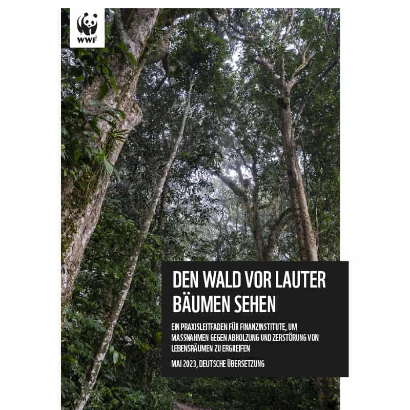 Coverbild WWF-Studie Den-Wald-vor-lauter-Bäumen-sehen(c)WWF Titelblatt Moorstudie