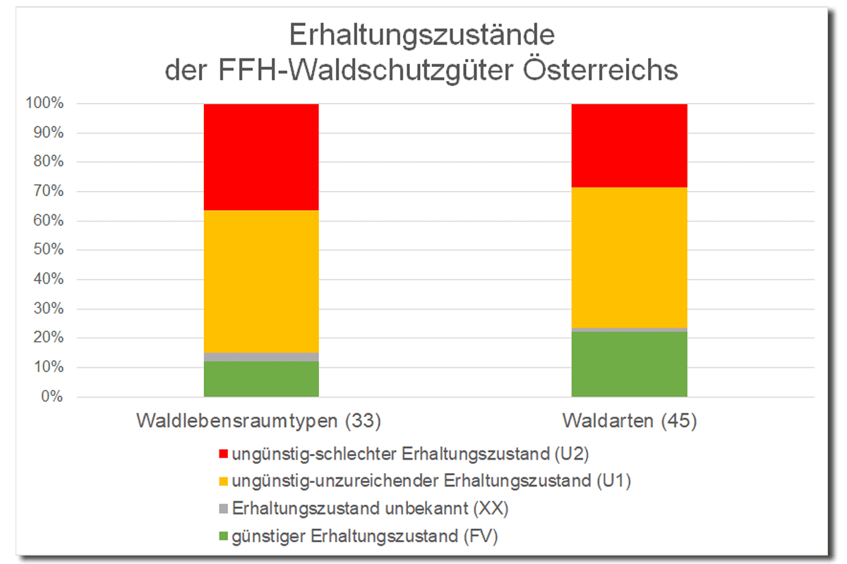 Waldstudie 2023 Erhaltungszustände der Schutzgüter (c) WWF Waldstudie 2023 Erhaltungszustände der Schutzgüter