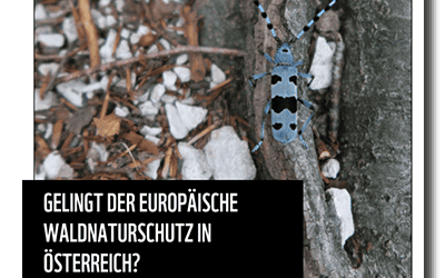WWF-Bericht zum Zustand der FFH-Waldlebensraumtypen und -arten