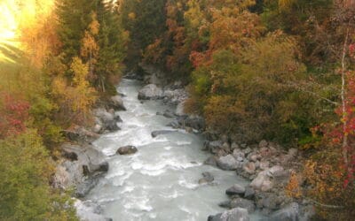 WWF fordert Absage von Anton Mattle zu Kaunertal-Ausbauplänen