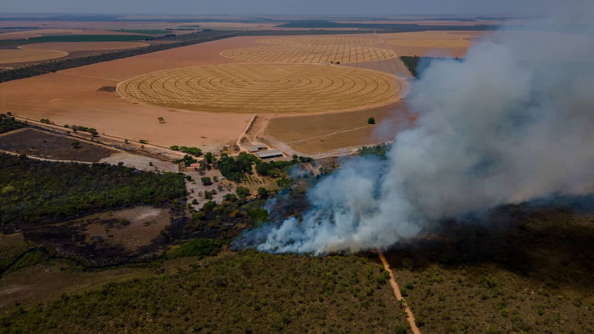Pressereise_Brasilien_2023(DJI_0330)-c-Myke Sena_WWF-Brazil