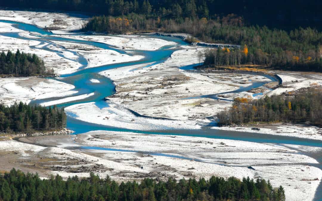 Nach Hochwasser: Wissenschaft und WWF fordern “Grünes Sicherheitsnetz”
