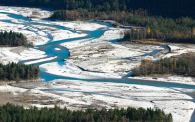 Nach Hochwasser: Wissenschaft und WWF fordern “Grünes Sicherheitsnetz”