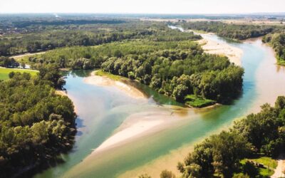 10. – 21. Juni 2025 – Exkursion: Rad-Naturreise durch den „Amazonas Europas“