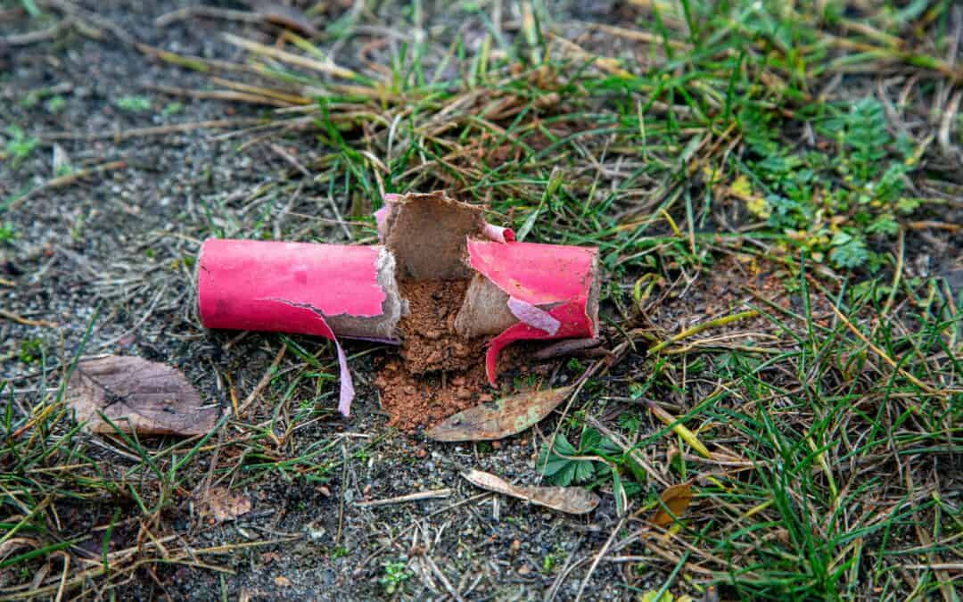 Silvester: WWF fordert Verkaufsverbot von Böllern und Raketen