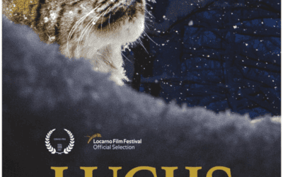 Gewinnspiel: Kino-Tickets oder DVDs zum Film „Luchs“