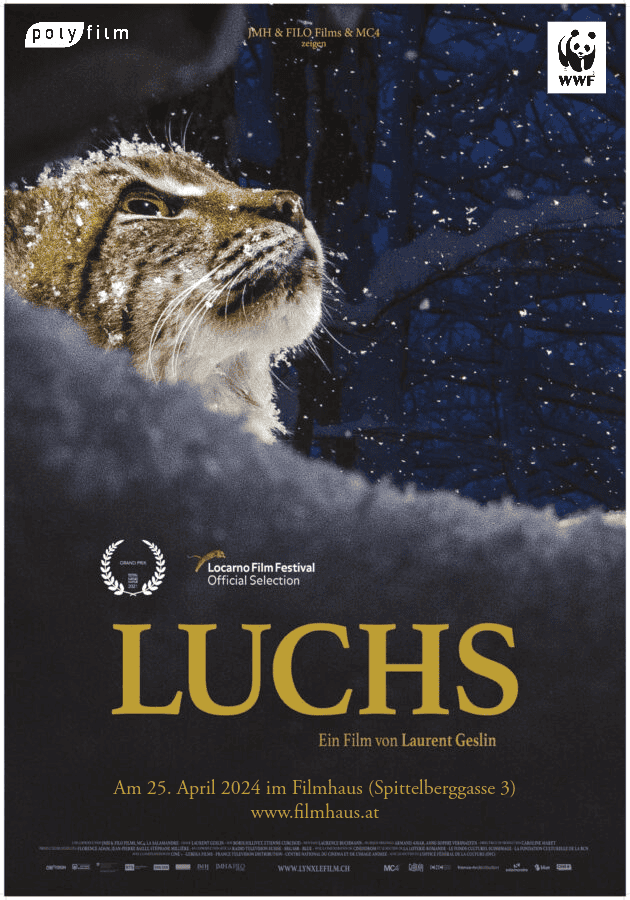 Luchs Plakat - Film Luchs Plakat - Film