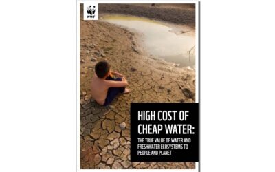 Wirtschaftliche Perspektive auf die globale Süßwasserkrise in der WWF Studie “High Cost of Cheap Water“