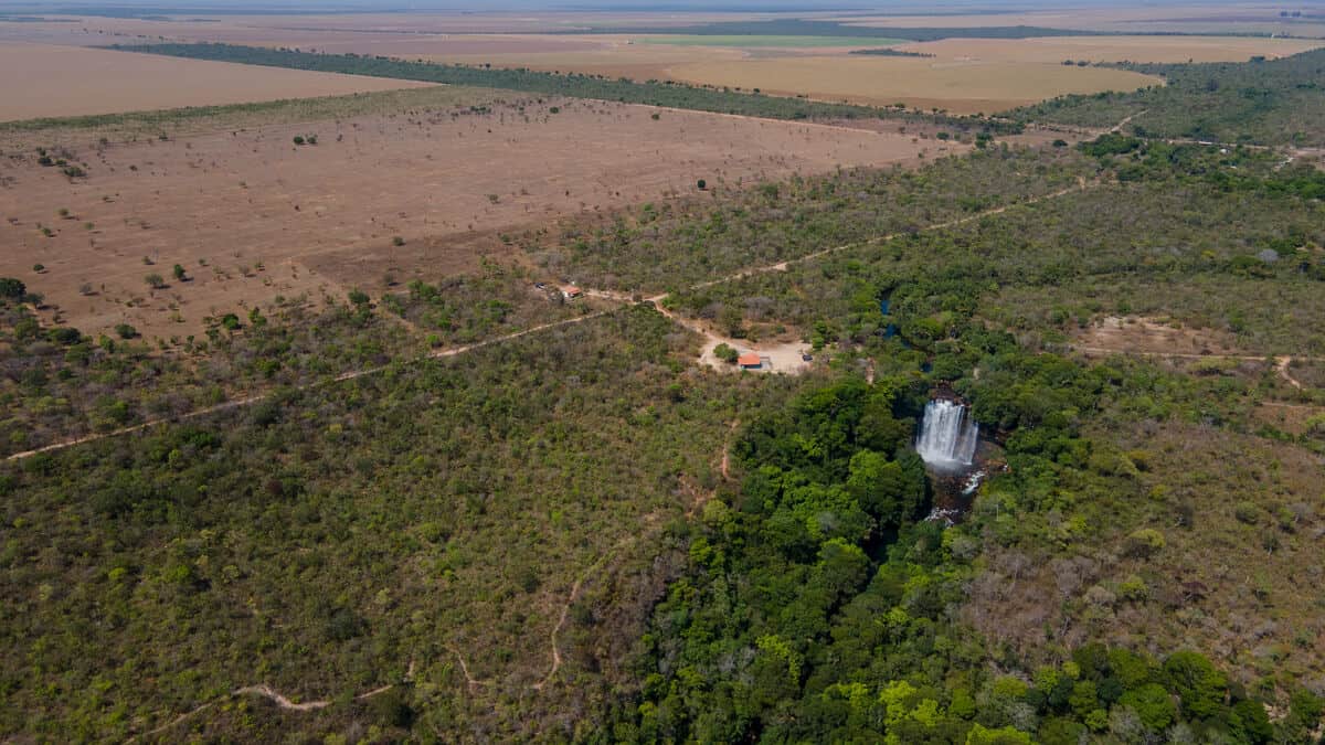 Pressereise_Brasilien_2023(DJI_0256)-c-Myke Sena_WWF-Brazil