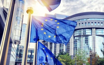 Omnibus-Verordnung: WWF kritisiert Angriff auf EU-Green Deal