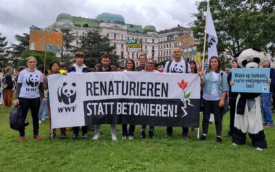 Klimastreik: WWF fordert Bodenschutz und Renaturierung von neuer Regierung