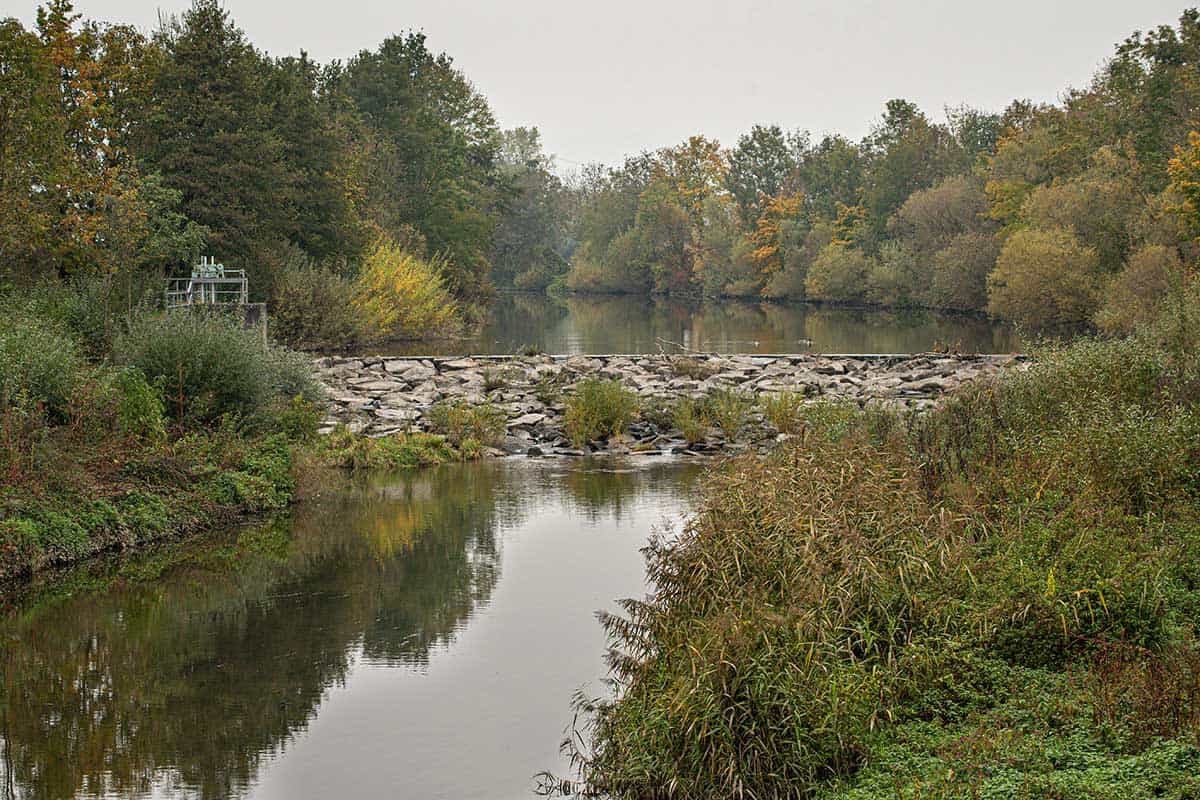 Querbauwerk in der Aschach. (c) Gerhard Egger