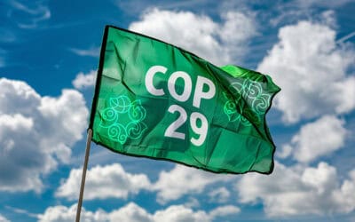 COP29: WWF kritisiert Politik-Versagen beim Klimaschutz