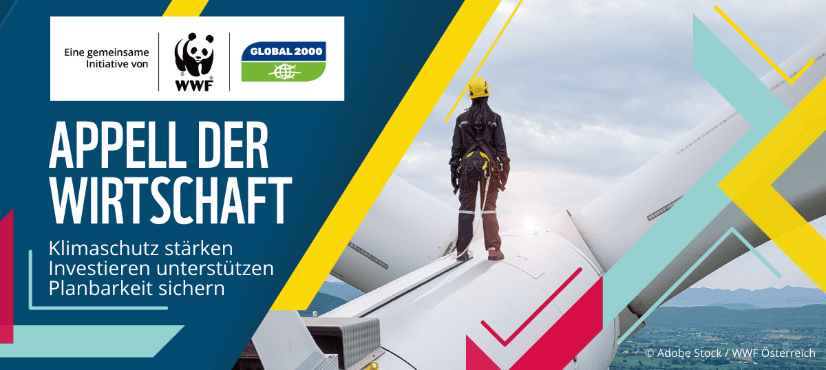 Appell der Wirtschaft 2024 NewsletterHeader 1200×538