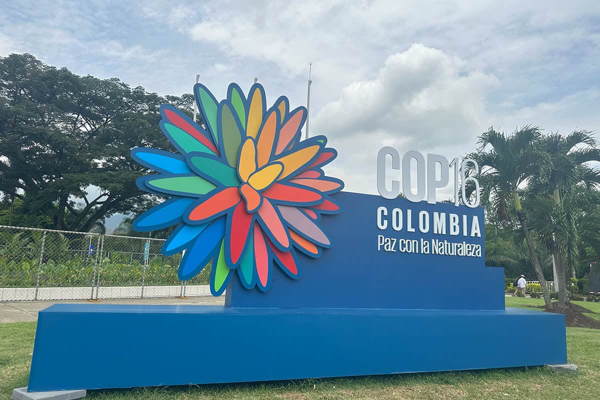 COP16 colombia (c) WWF