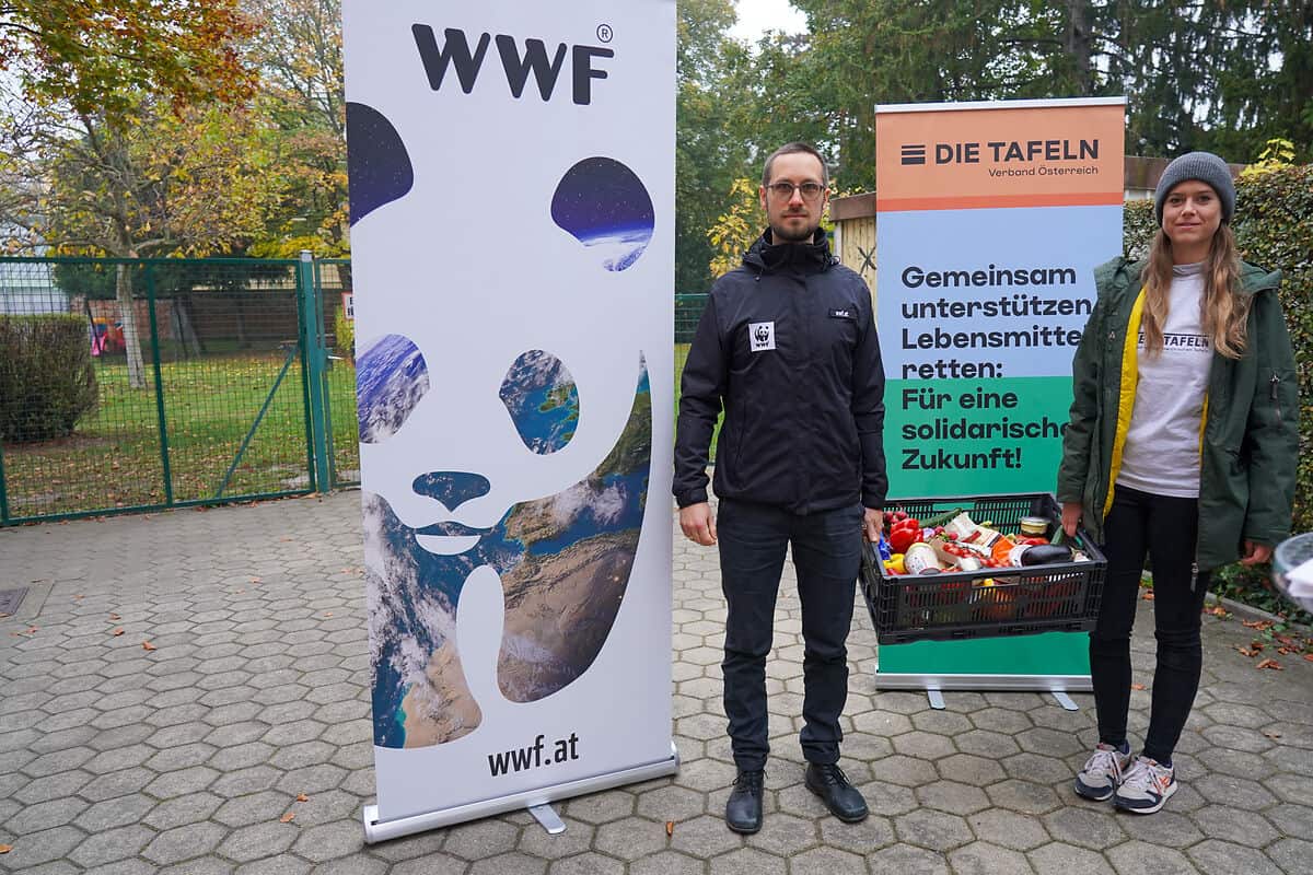 LMV_DSC09008-c-WWF Österreich