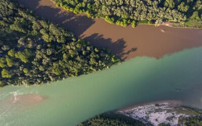 Das Wichtigste zum Mitnehmen: WWF European Business & Biodiversity Forum 2024