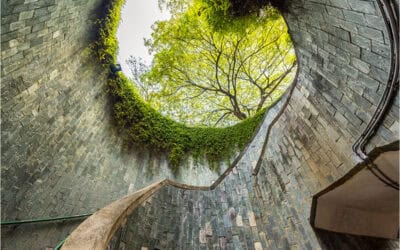 Wirtschaften innerhalb planetarer Grenzen: Welches Maß braucht Nachhaltigkeit?