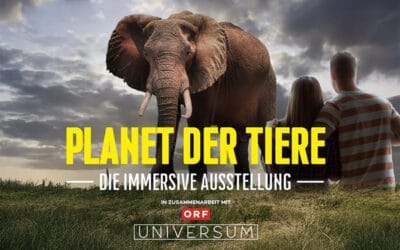Gewinnspiel: Wir verlosen 5×2 Tickets für das Immersium Wien!